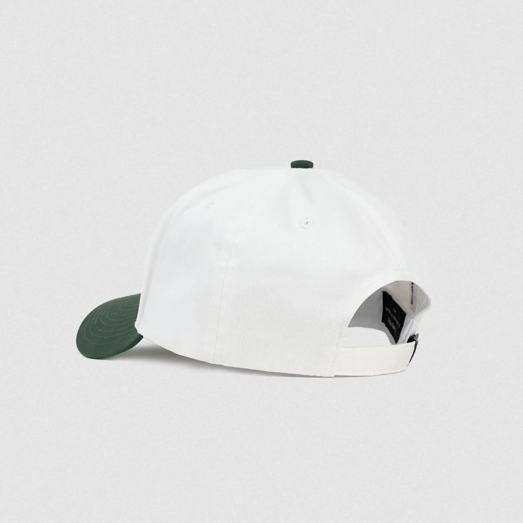 5 panel skull hat white green back