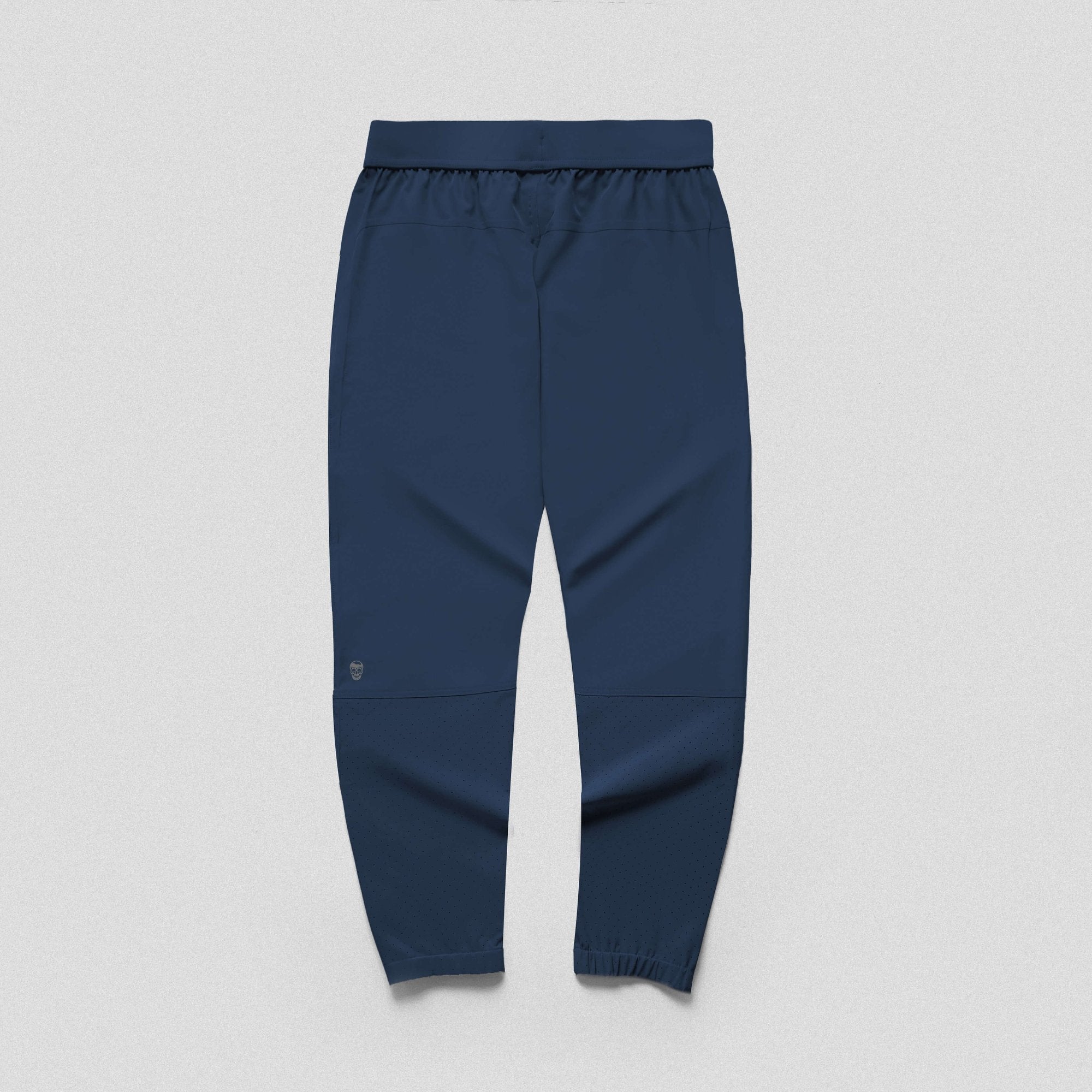 performance jogger navy back